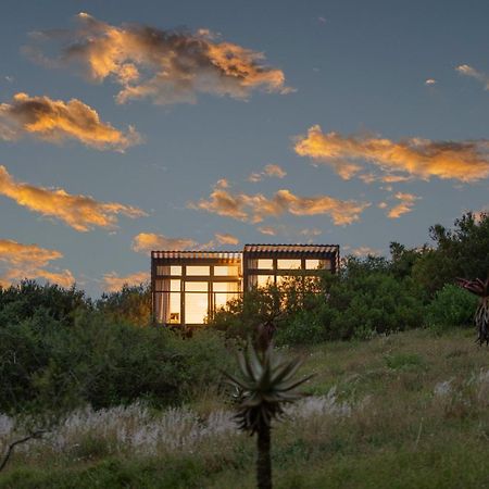 Nyosi Wildlife Reserve Hotel Port Elizabeth Exterior photo