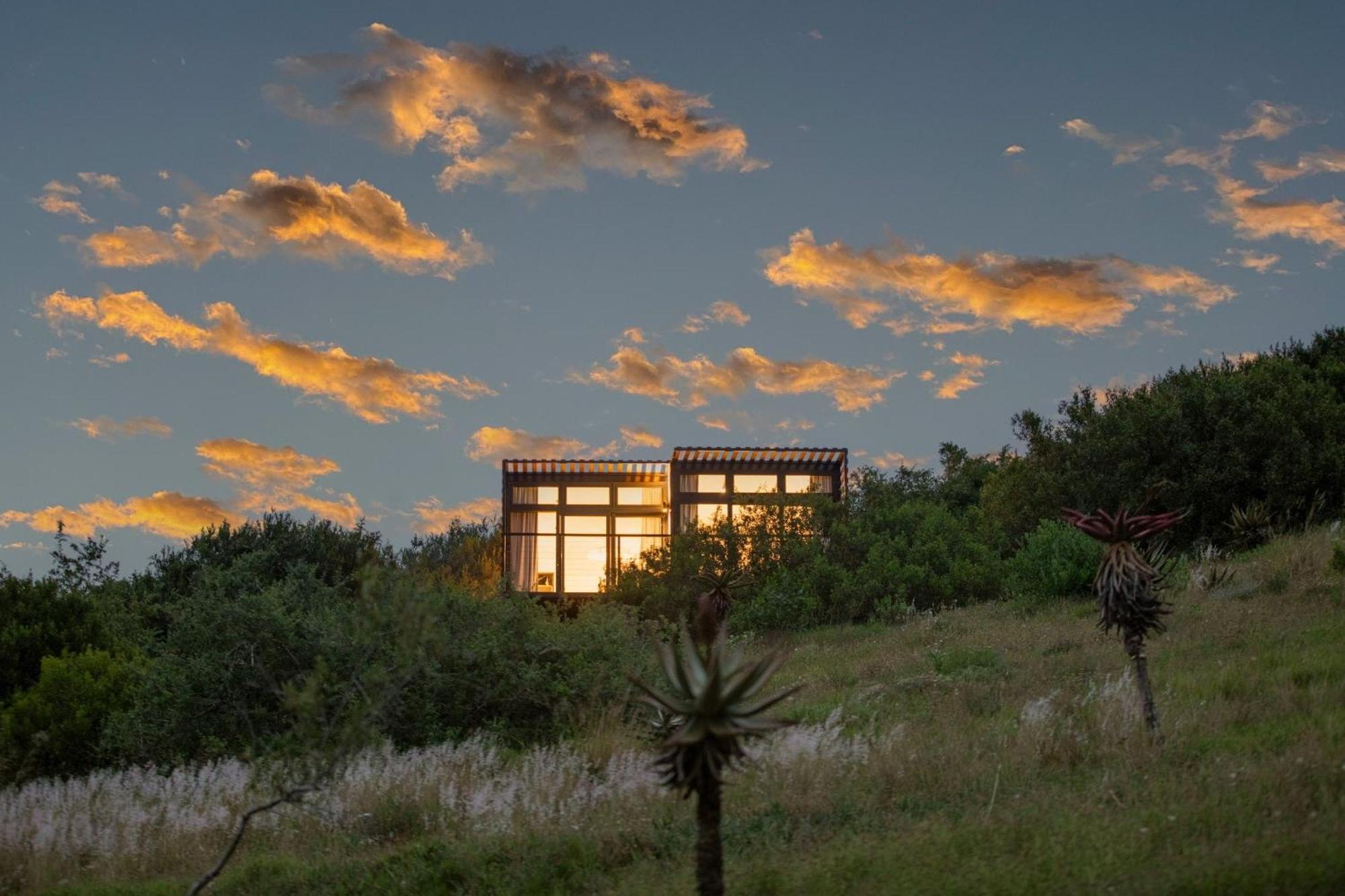 Nyosi Wildlife Reserve Hotel Port Elizabeth Exterior photo